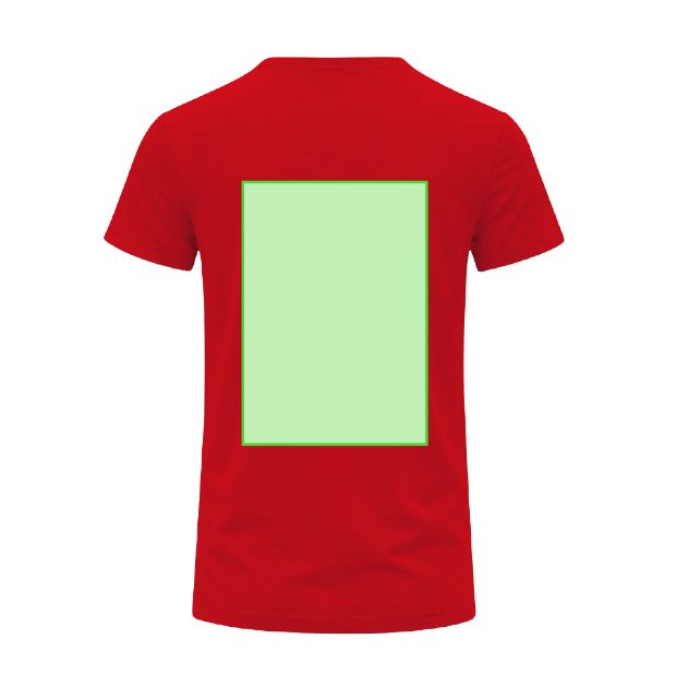 Espalda (hasta 28 × 40 cm) — Camiseta Perkins
