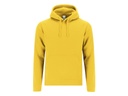 Sudadera con capucha personalizada con impresión DTF — Draco